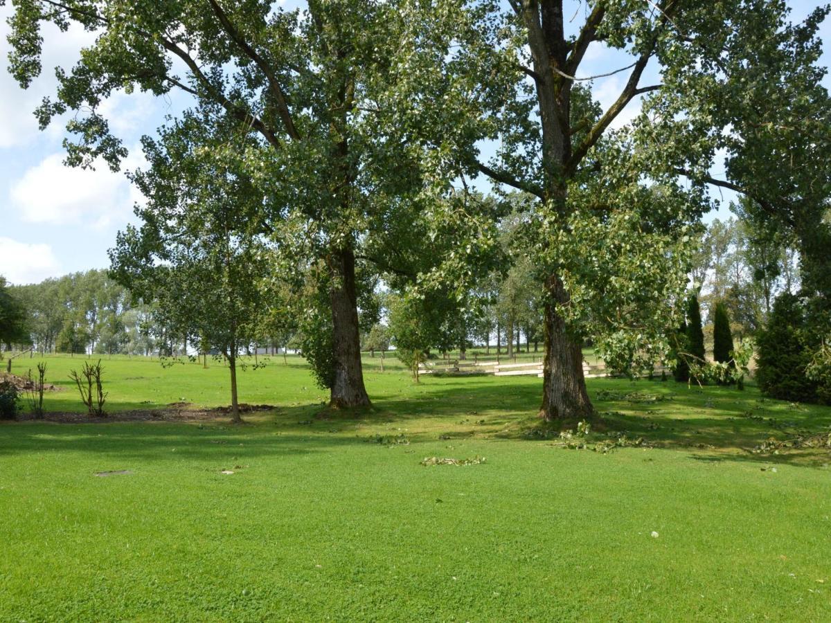 Beautiful Gites With Garden Pond And Playground Sprimont Exteriör bild